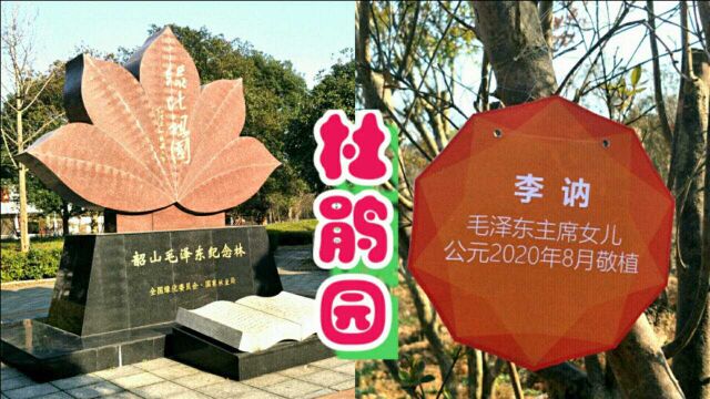 孟大坏游记:湖南韶山村杜鹃园,栽杜鹃树的人,都是响当当的人物,都是谁呢