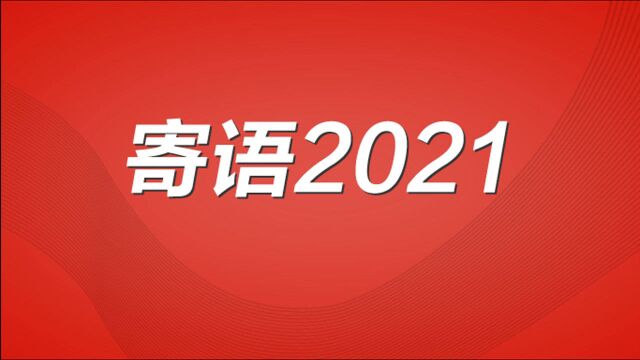 收获2020 寄语2021