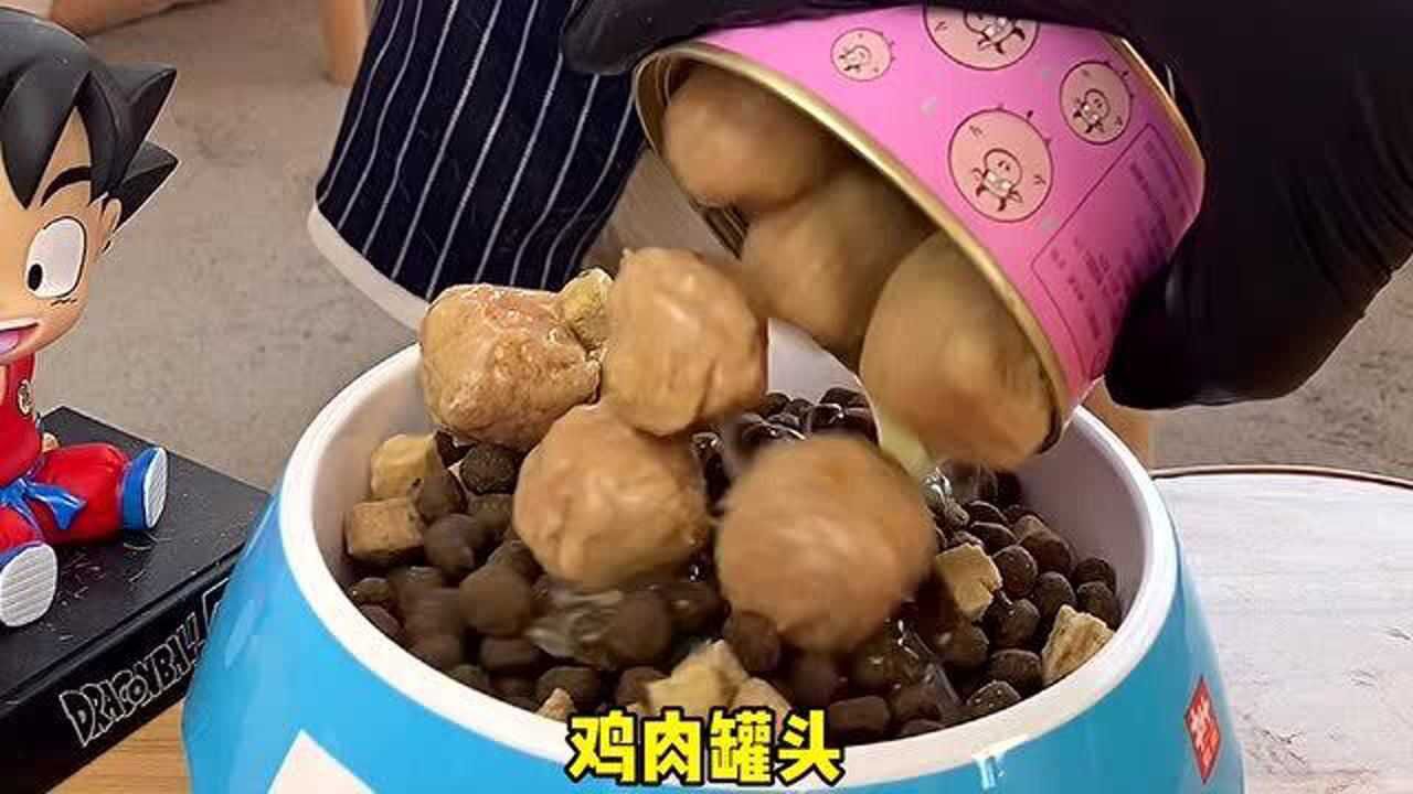 马克的饭:牛排配鸡肉丸马克吃的也太香了