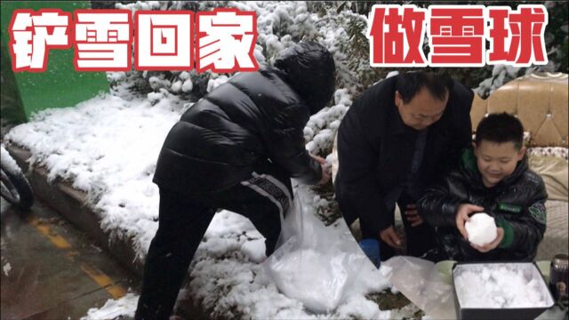 河南又下雪了,儿子高兴的装一袋子雪回家玩,居然说脂肪厚不怕冷