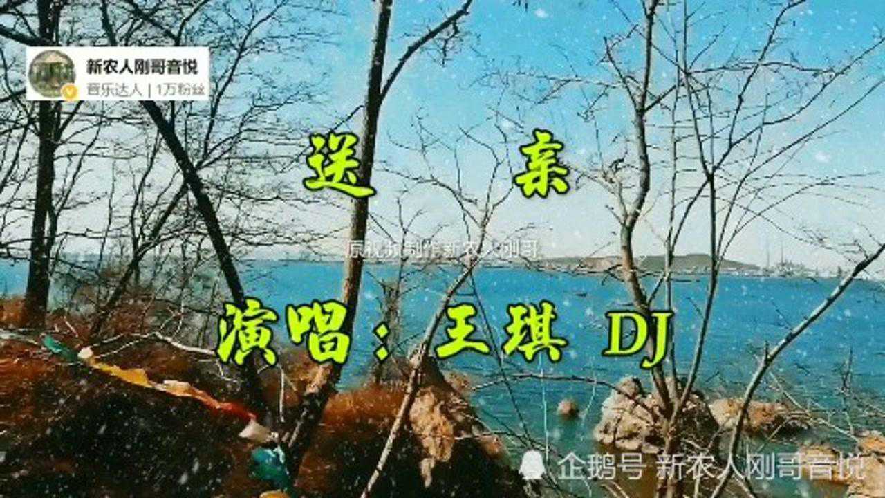 王琪dj版歌曲送亲凄美动听耐回味原本迎亲的人却变成送亲的傻瓜