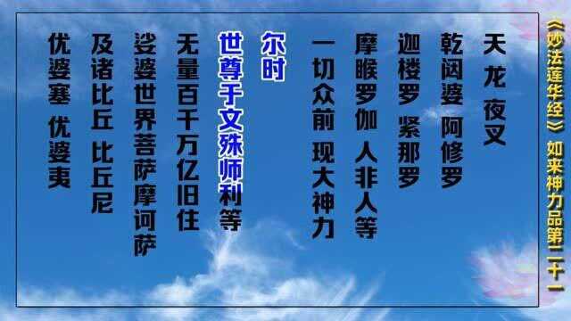 《妙法莲华经》21 如来神力品(法华经)