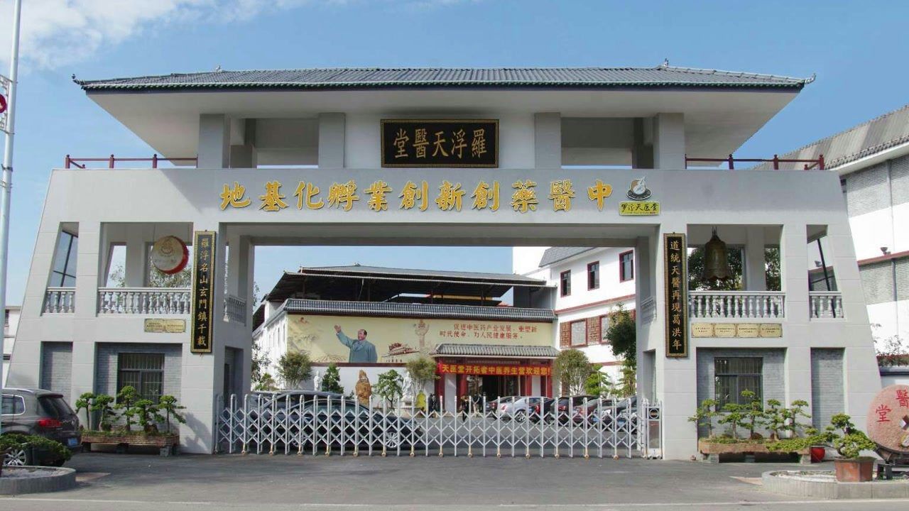 广东罗浮天医堂集团四周年总结报告