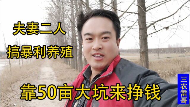 农村夫妻2人搞暴利养殖,靠50亩大坑年收入60万,不愁销路