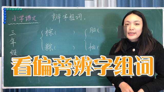 小学语文经典题型,看偏旁辨字组词,三年级语文考点