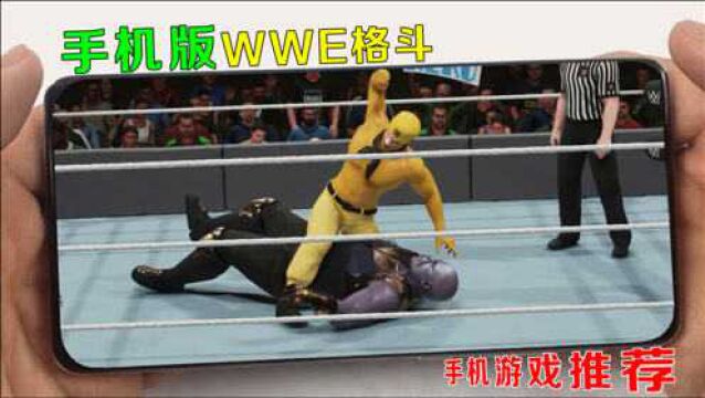 一款手机版的WWE格斗游戏,这个妹子也太猛了吧