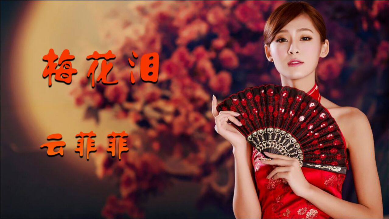 经典情歌《梅花泪》,云菲菲演唱