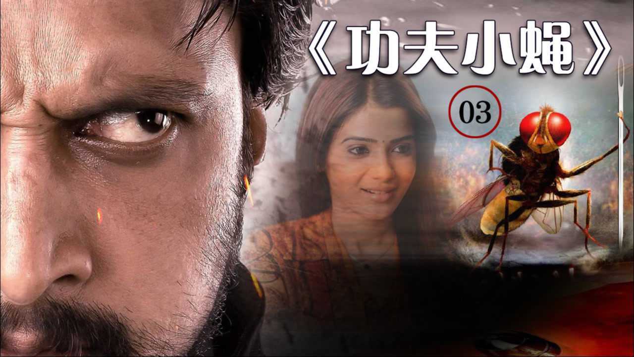 《功夫小蝇》03