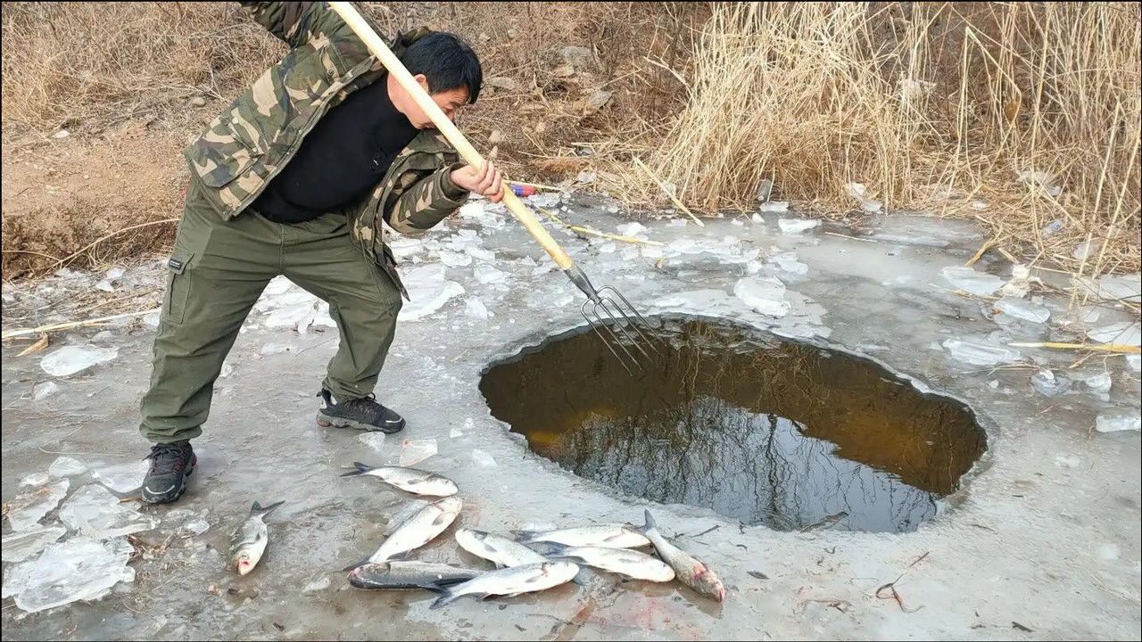 老李叉鱼技术农村一绝叉叉有鱼叉无虚发看老李如何神叉捉鱼