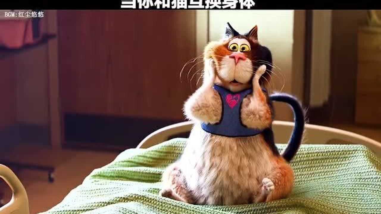 心灵奇旅:和猫咪互换身体,是一种什么体验?_腾讯视频