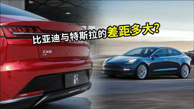 中国新能源汽车的代表,比亚迪与美国特斯拉实力对比,差距多大?