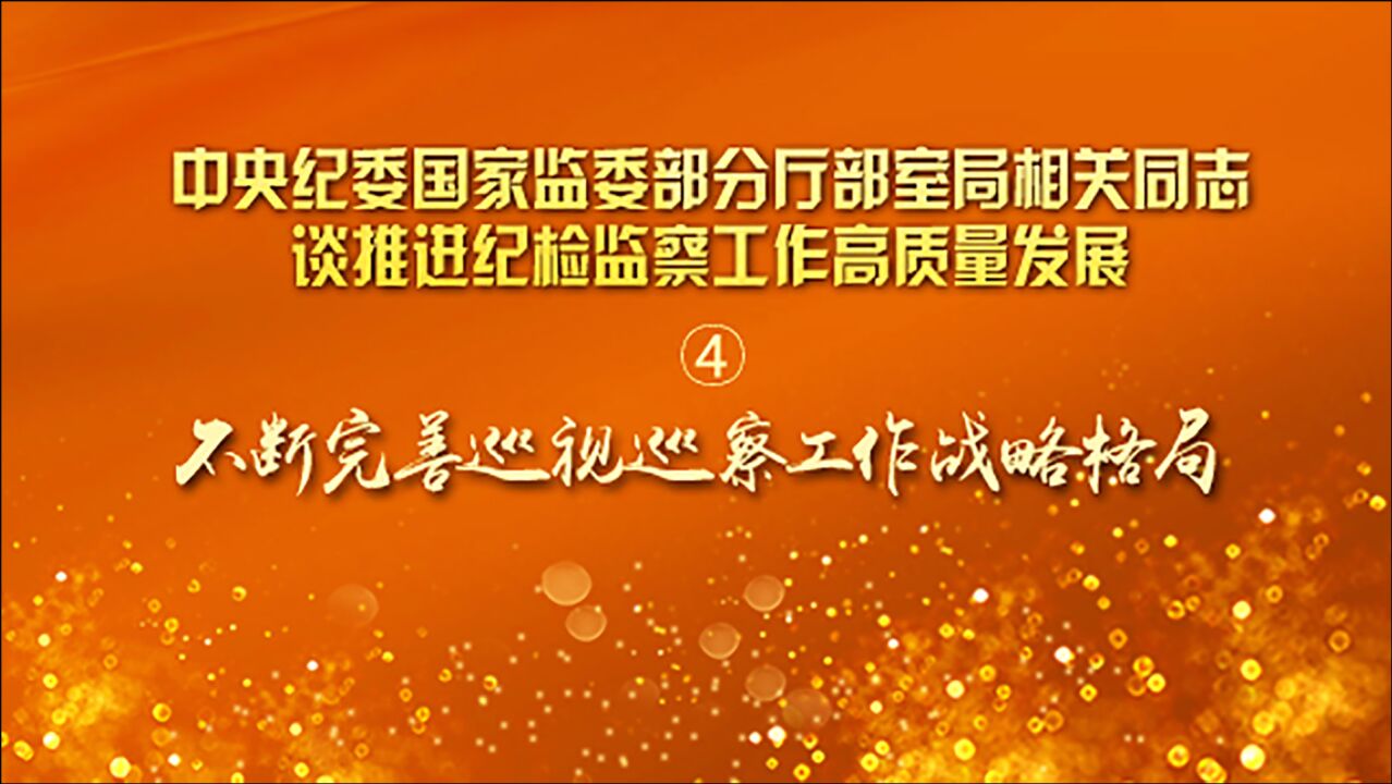 高质量发展访谈④丨不断完善巡视巡察工作战略格局