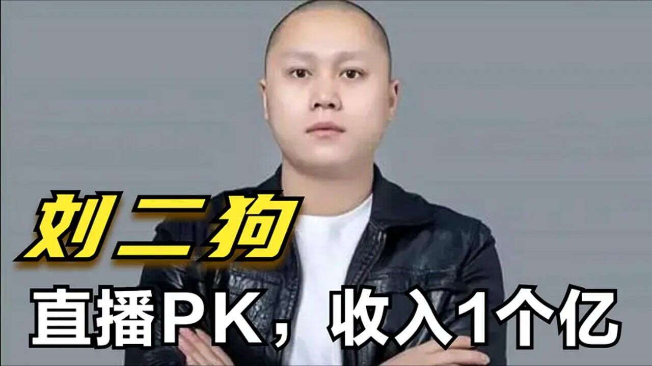 刘二狗:挑战武僧一龙,直播带货与商家演戏,赚一个亿妻子闹离婚_高清1080P在线观看平台_腾讯视频