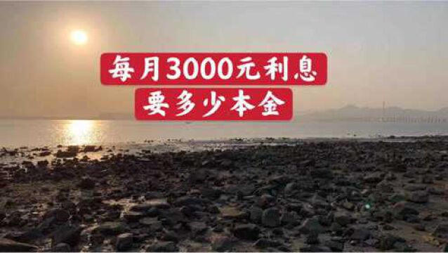 2021年,每个月想获得3000元利息,需要多少本金呢?能实现吗?