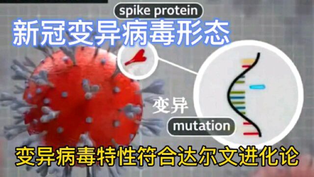 新冠病毒3D形态是什么样?变异病毒生物特性符合达尔文进化论?