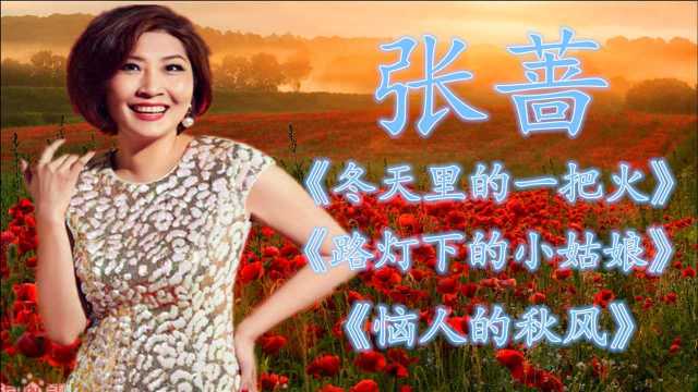 张蔷歌曲精选《冬天里的一把火》《路灯下的小姑娘》《恼人的秋风》