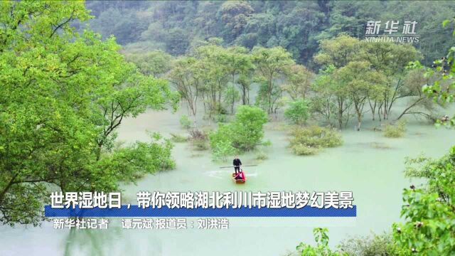 世界湿地日,带你领略湖北利川市湿地梦幻美景