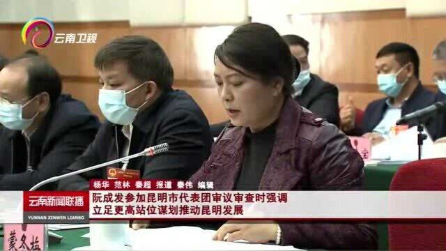 阮成发参加昆明市代表团审议审查时强调