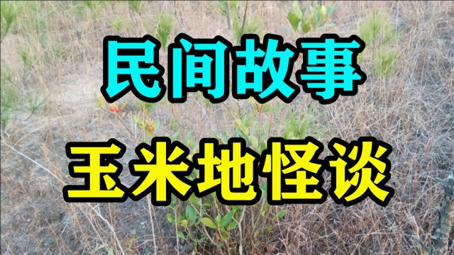 民间故事《玉米地怪谈》上小学的时候我记得有一天中午我没回家