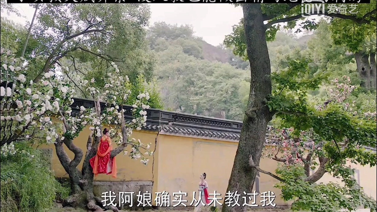 电视剧风起霓裳