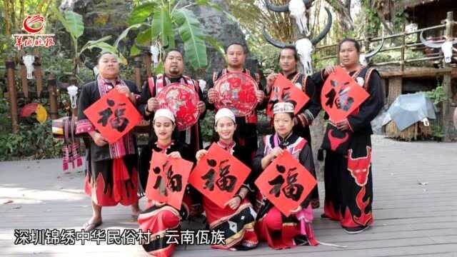 积极响应“就地过年”!深圳人向全国兄弟姐妹拜年啦