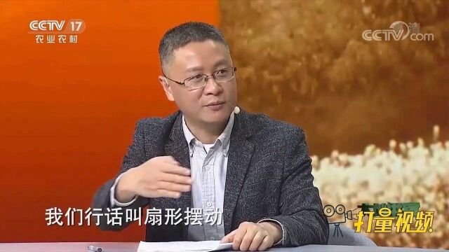 江苏兴化垛田美如画,传说它竟是岳飞布下的“八卦阵”