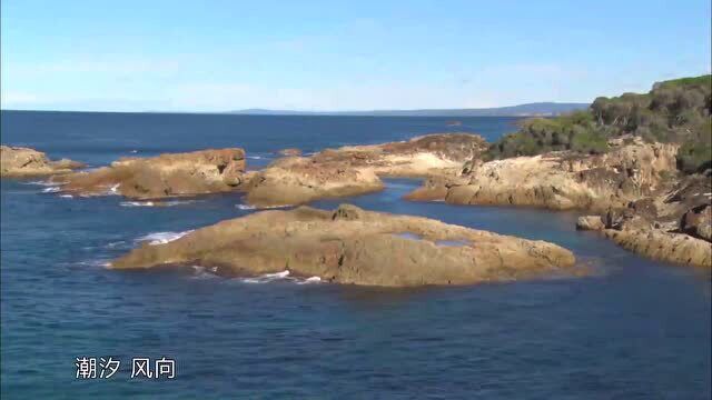 海钓,因高昂的价格和多样的鱼种而闻名,它让无数钓鱼人向往