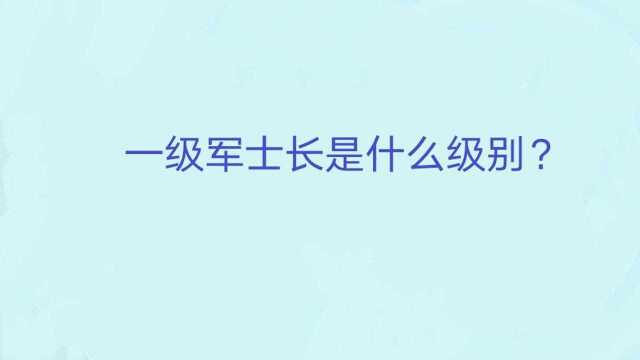 一级军士长是什么级别?