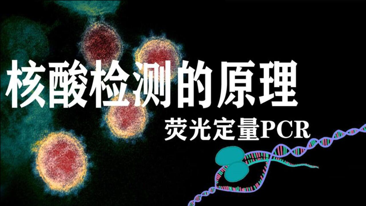 3分钟了解核酸检测的原理——什么是荧光定量PCR_腾讯视频