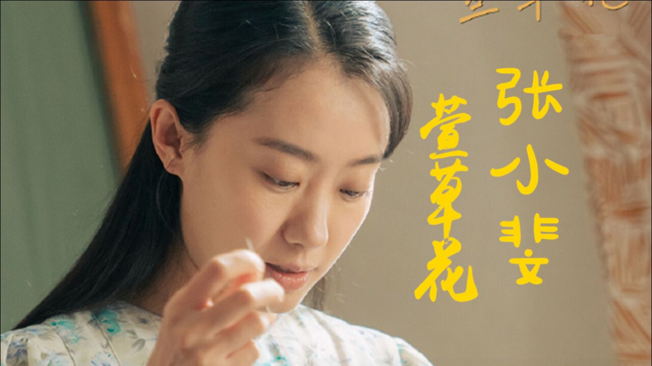 張小斐最美歌更美沉醉在你的萱草花的歌聲裡