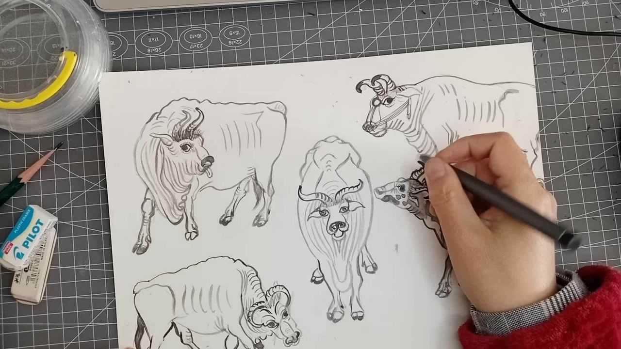 牛的画法,牛的结构,牛角怎么画好?