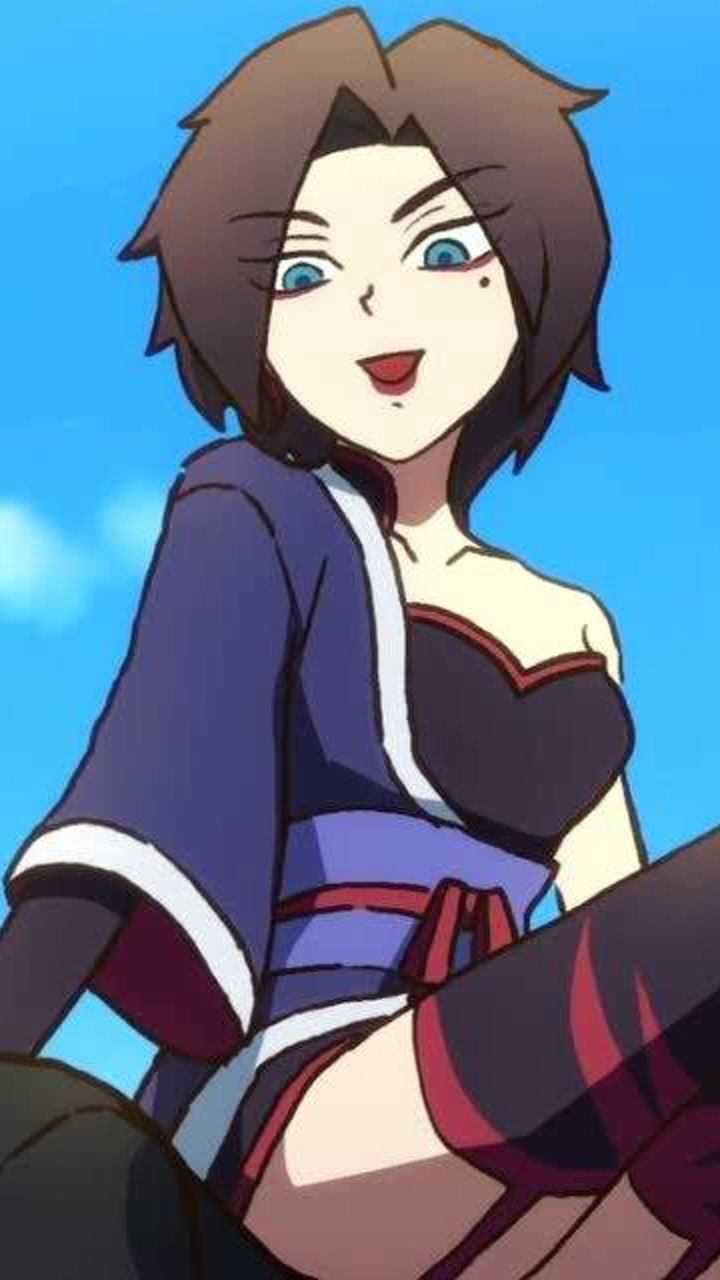 梅花十一,貌美如花