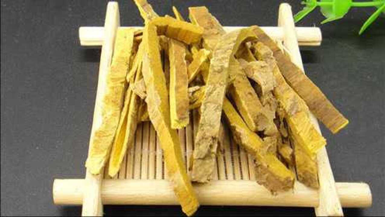 潘氏中医:黄柏的功效与作用?_高清1080P在线观看平台_腾讯视频