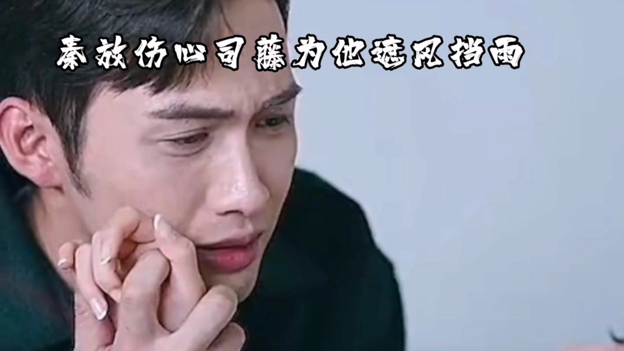 司藤不放心秦放