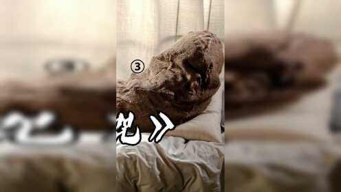 漂亮的麻袋女上半身竟是个绞肉机