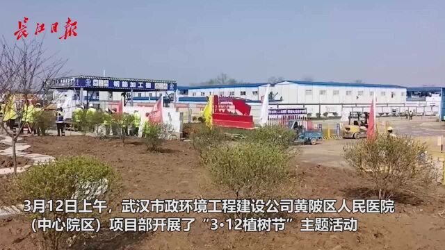 黄陂区人民医院项目开展植树节活动,推动室外工程建设