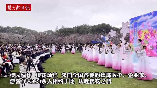 樱花盛开时,与君再相逢,援鄂医护代表共赴“樱花之约”