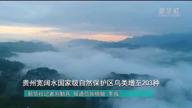 贵州宽阔水国家级自然保护区鸟类增至203种