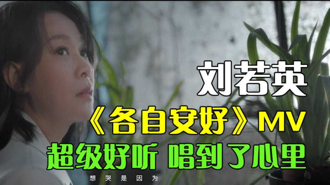 刘若英各自安好mv林依晨张孝全出演超级好听唱到了心里