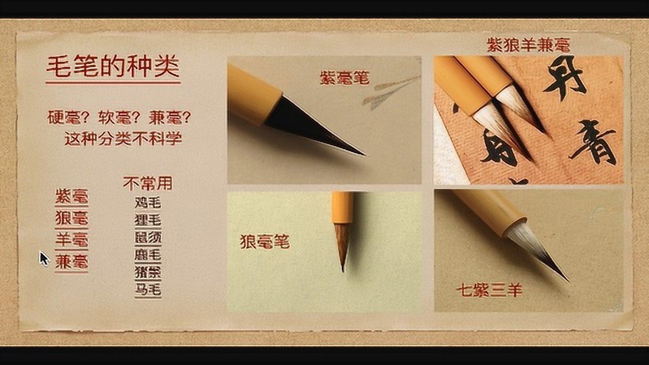 零基础书法入门系列课程 第一课 2 毛笔笔毫的种类 紫毫狼毫羊毫兼毫