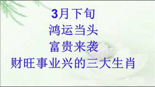 3月下旬,鸿运当头,富贵来袭,财旺事业兴的三大生肖