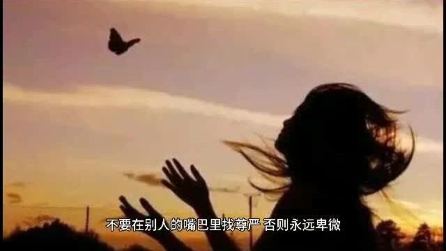 佛语禅录,12句大实话,句句净化心灵