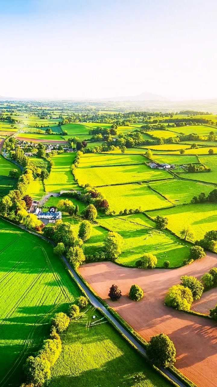 田园风光,十里芬芳,百里谷香.