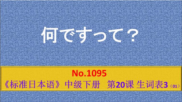 日语学习:你说什么?