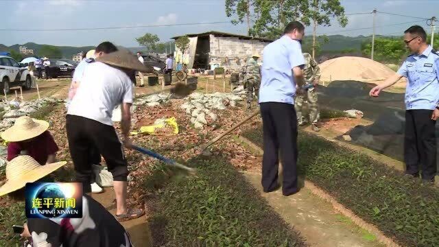 连平县桉改办对非法经营林木种子行为依法打击处置