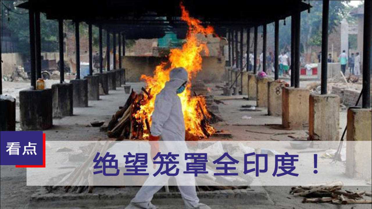 绝望笼罩全印度!疫情形势急转直下,首都封锁民众在线"求救"