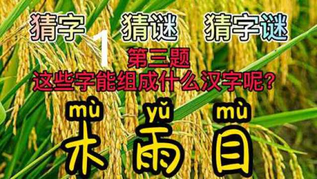 木雨目,组一字,这几个汉字大家都认识?组在一起的字有认识的吗