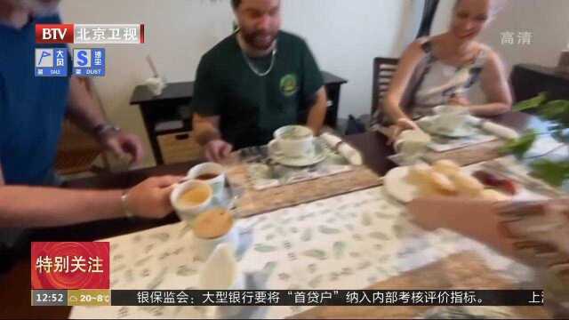 澳大利亚猫咪咖啡馆“撸”一次就上瘾