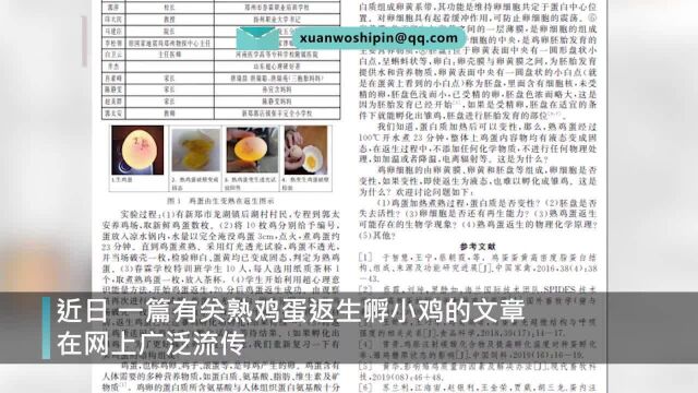 期刊回应熟蛋返生孵鸡论文:正常审核不会通过,不知用何办法发表