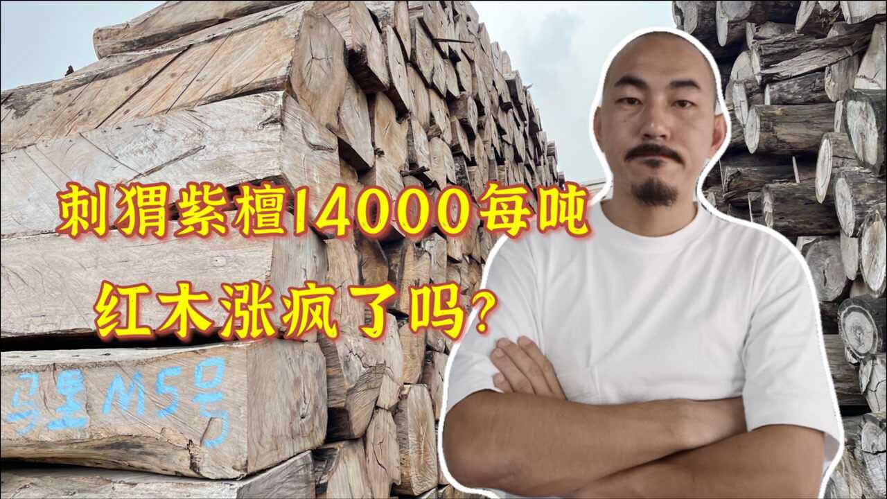 7000一吨的刺猬紫檀涨到14000,红木价格疯涨,你觉得会闪崩吗?腾讯视频}